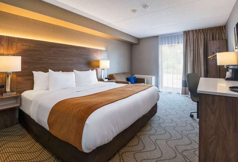 هتل Comfort Inn Lakeshore
