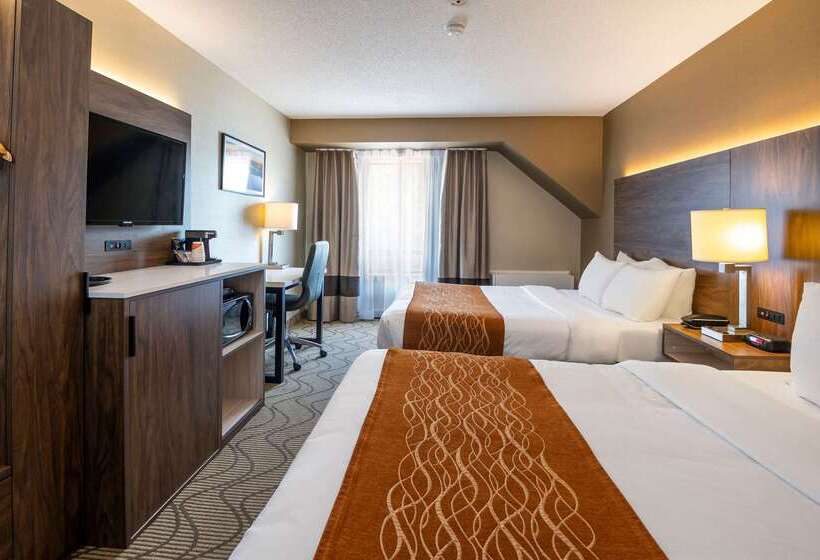 هتل Comfort Inn Lakeshore