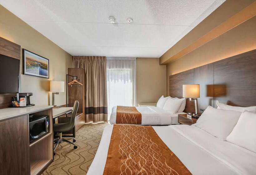 هتل Comfort Inn Lakeshore