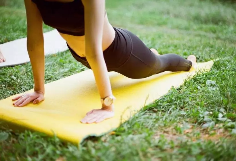 فندق Logis Hôtel St Sylvestre