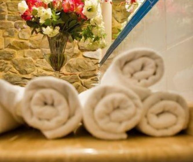 فندق ريفى Posada Santa Ana