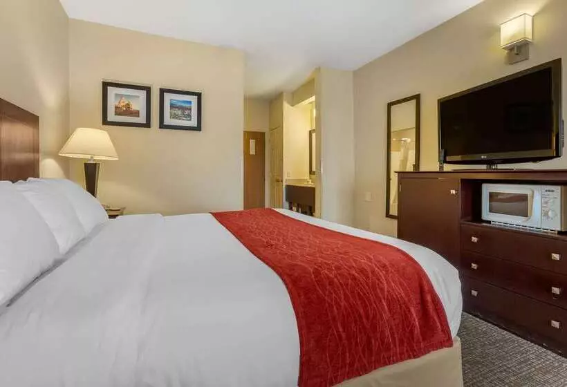 בית מלון כפרי Comfort Inn & Suites North Tucson Marana