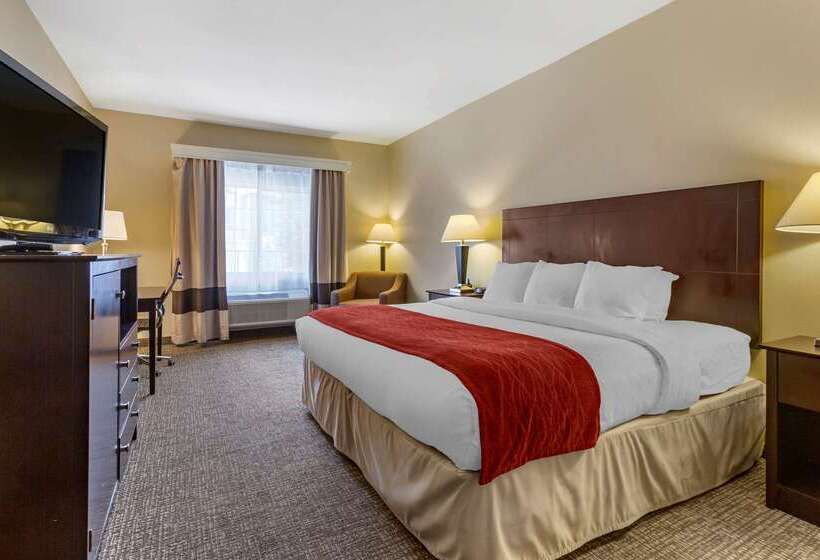 فندق Comfort Inn & Suites North Tucson Marana