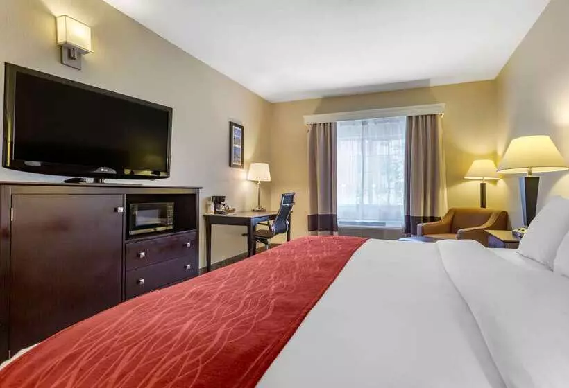 בית מלון כפרי Comfort Inn & Suites North Tucson Marana