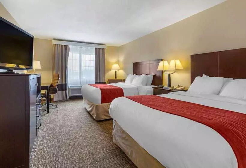 בית מלון כפרי Comfort Inn & Suites North Tucson Marana