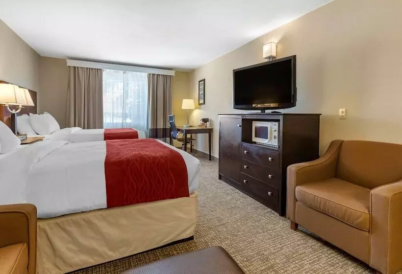 בית מלון כפרי Comfort Inn & Suites North Tucson Marana