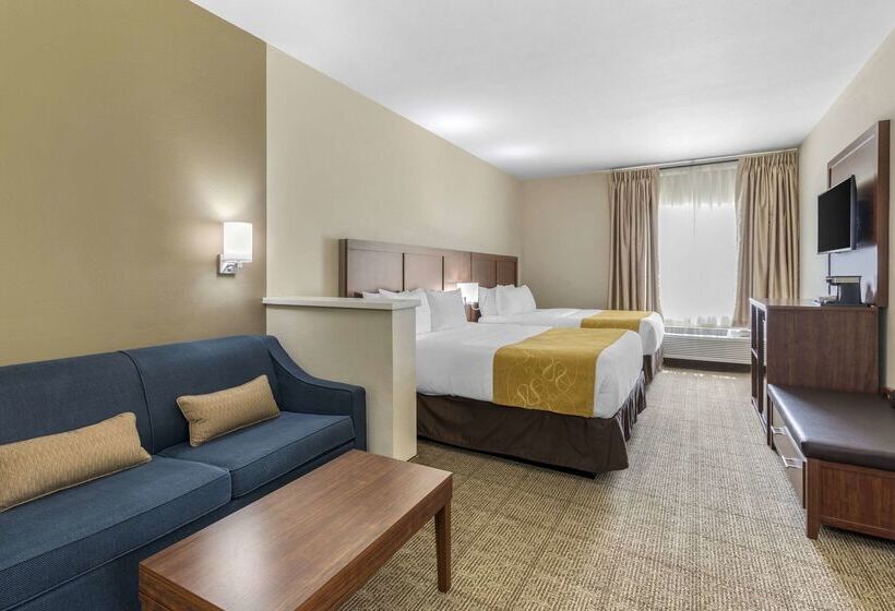 فندق Comfort Suites