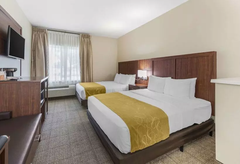 Отель Comfort Suites