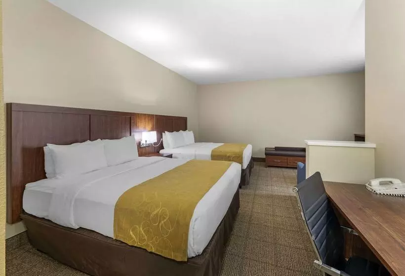 Отель Comfort Suites