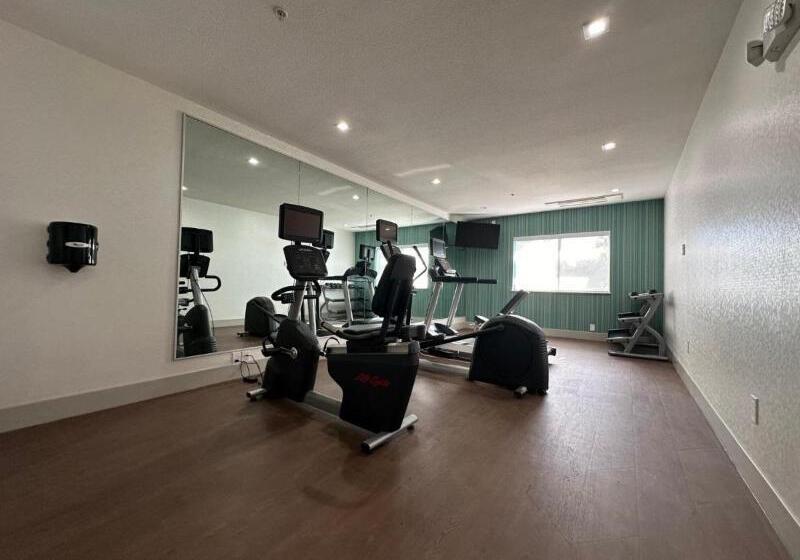 ホテル Holiday Inn Express & Suites Mountain View, An Ihg