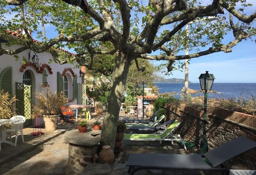 בית מלון כפרי Hôtel Astria