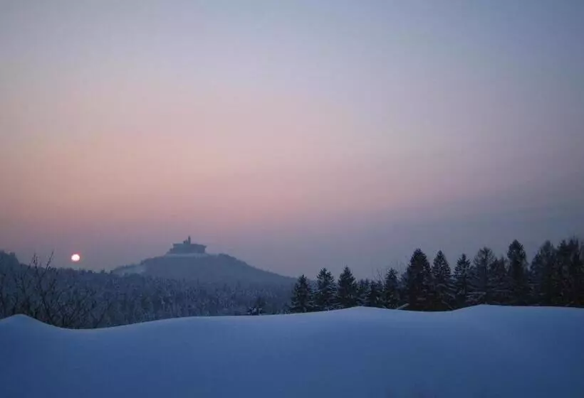 Logis Hotel Les Vosges