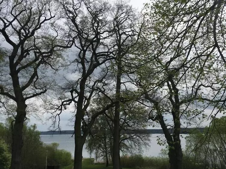 فندق Seeresidenz Gesundbrunn