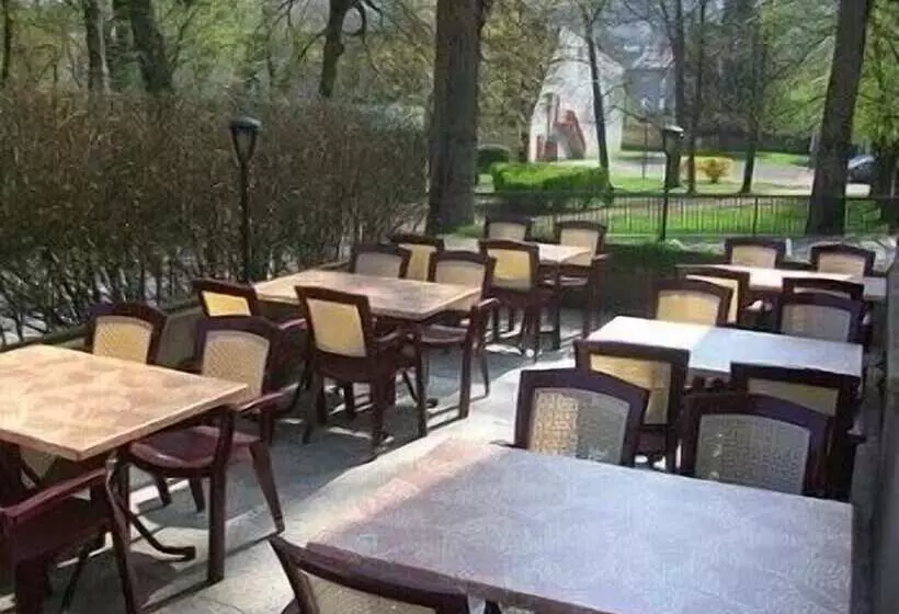 Logis Hotel Restaurant Remotel