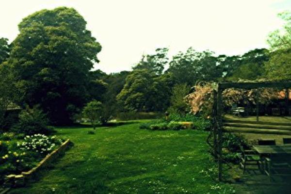 ホテル Birdwing Bed And Breakfast