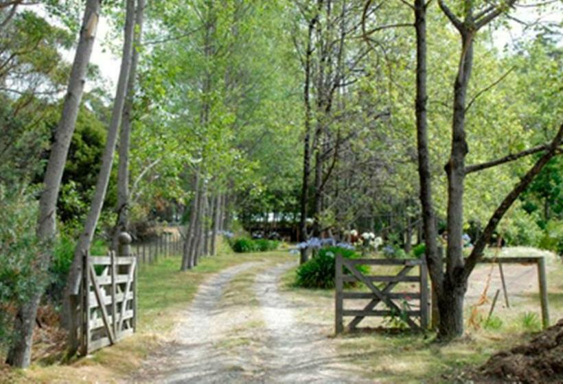 ホテル Birdwing Bed And Breakfast