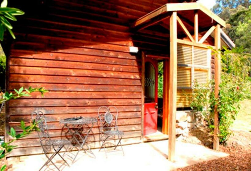 ホテル Birdwing Bed And Breakfast