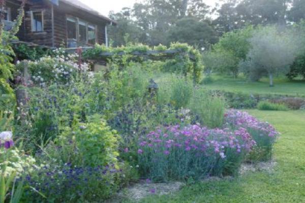 ホテル Birdwing Bed And Breakfast