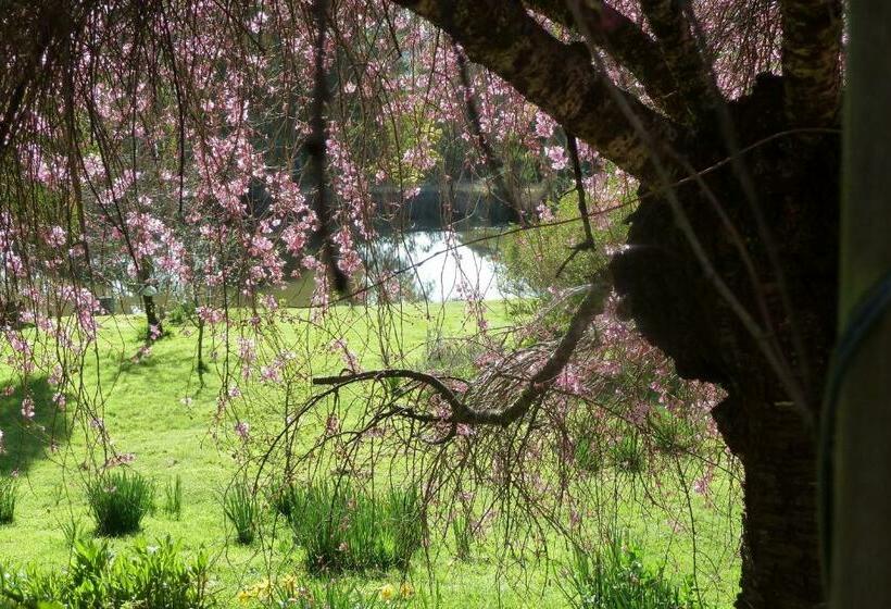 ホテル Birdwing Bed And Breakfast