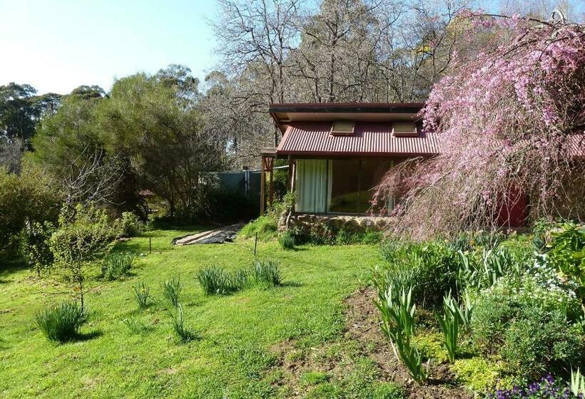 ホテル Birdwing Bed And Breakfast