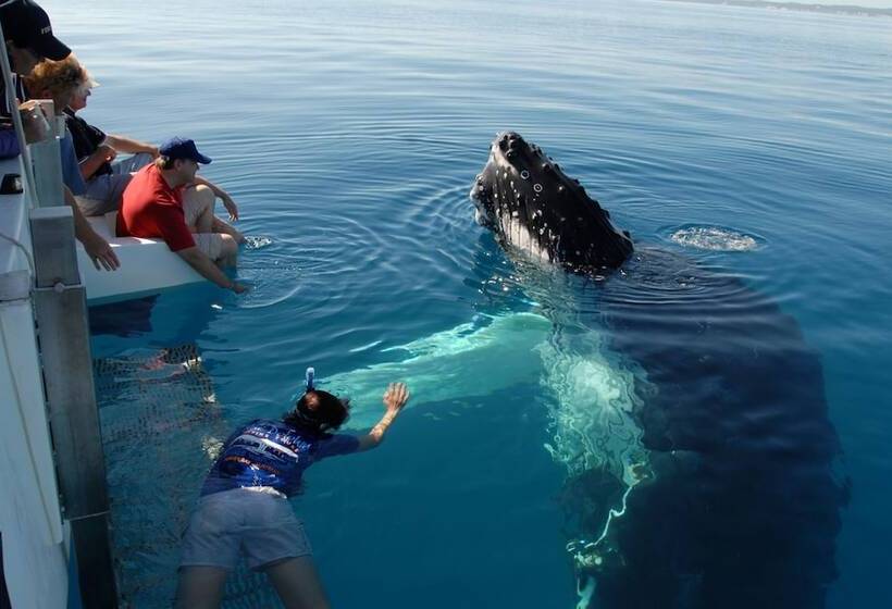 בית מלון כפרי Woolshed Eco Lodge