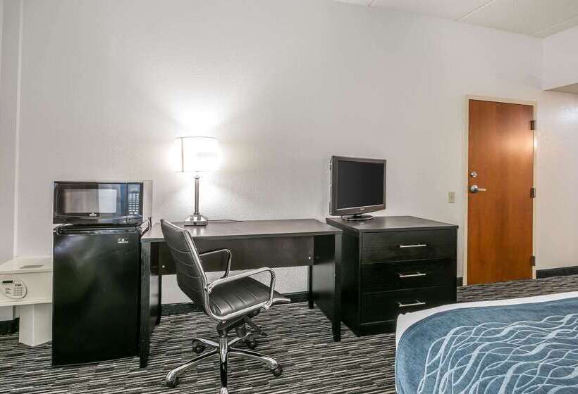 בית מלון כפרי Comfort Inn University