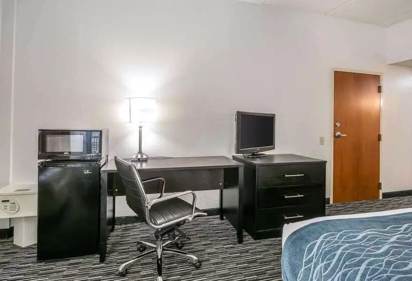 호텔 Comfort Inn University