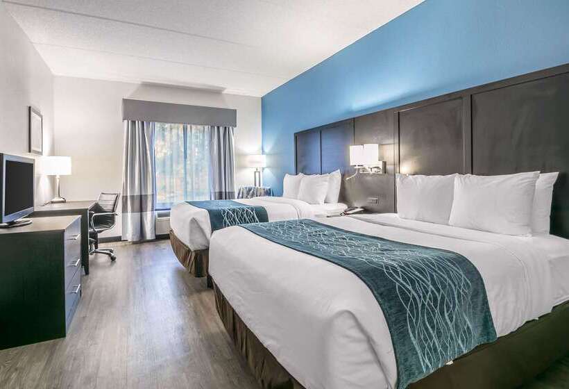 בית מלון כפרי Comfort Inn University