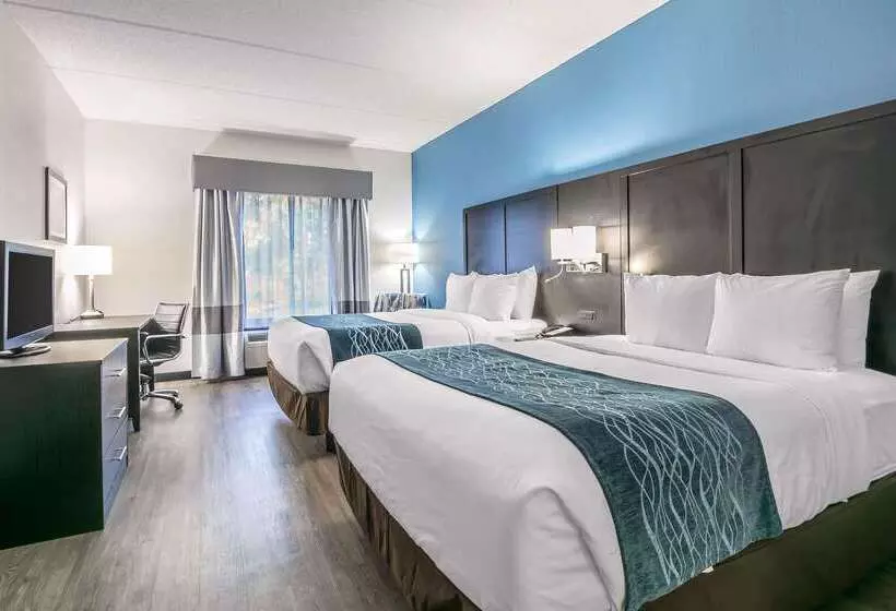 호텔 Comfort Inn University