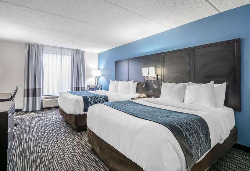 בית מלון כפרי Comfort Inn University