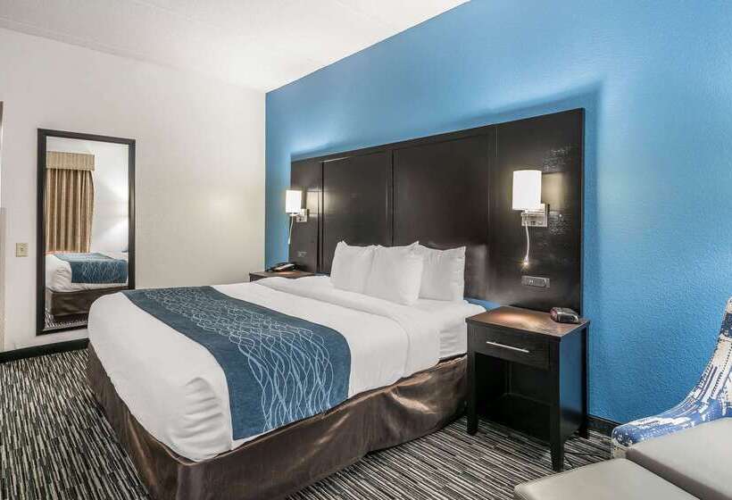 בית מלון כפרי Comfort Inn University