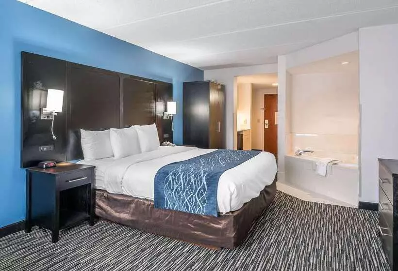 호텔 Comfort Inn University