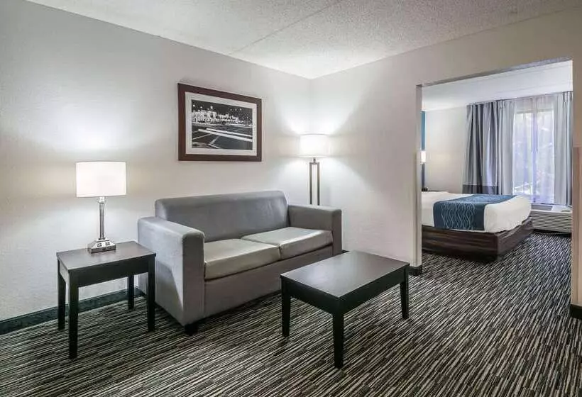 호텔 Comfort Inn University