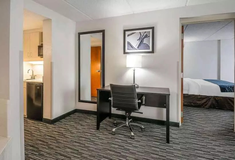 호텔 Comfort Inn University