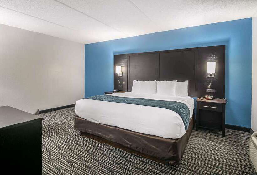 בית מלון כפרי Comfort Inn University