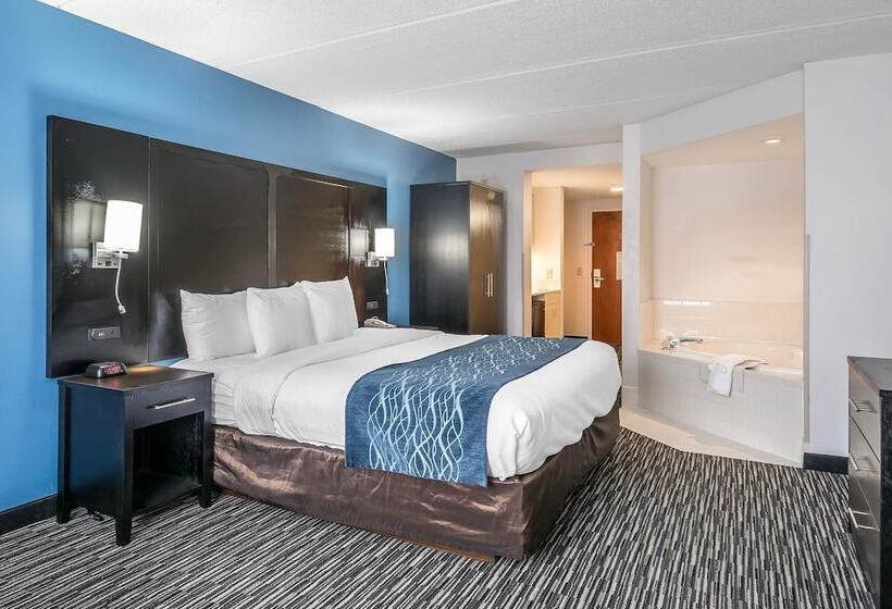 בית מלון כפרי Comfort Inn University