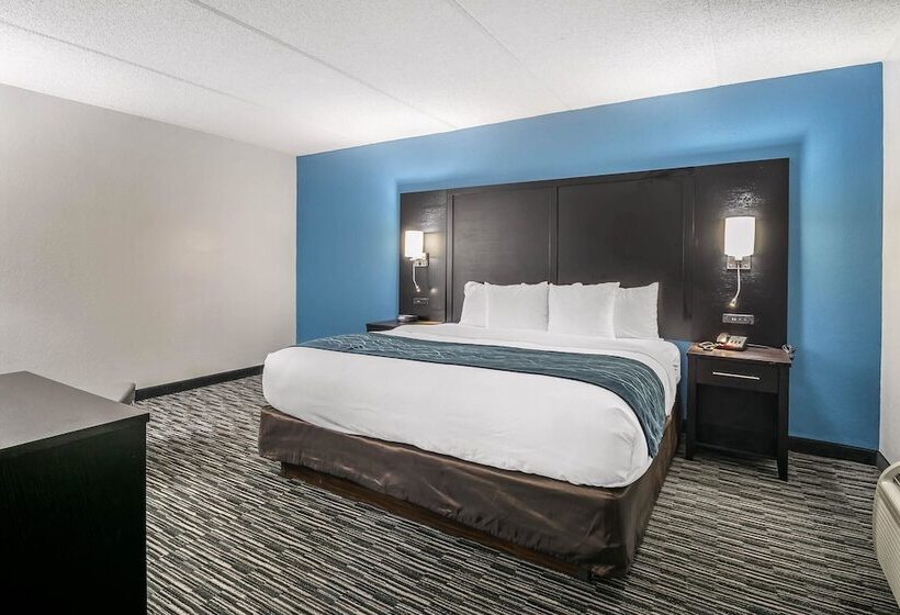 בית מלון כפרי Comfort Inn University