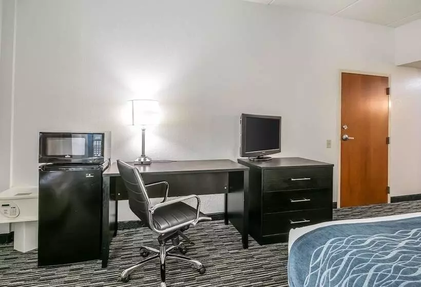 호텔 Comfort Inn University