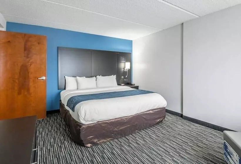 호텔 Comfort Inn University