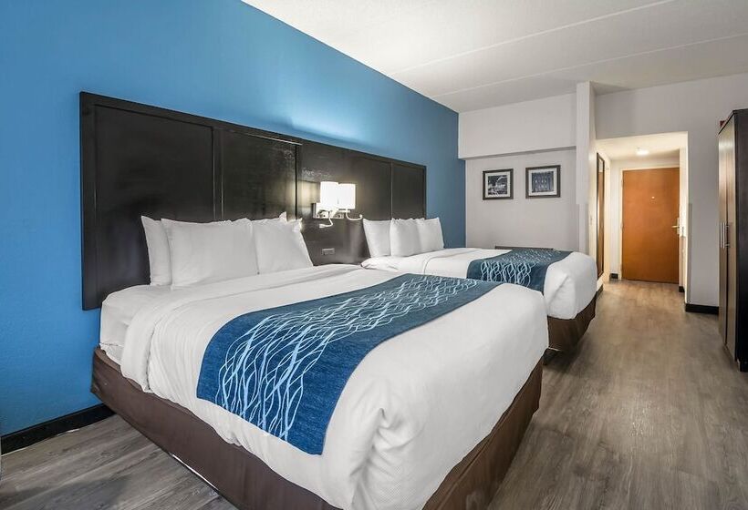 בית מלון כפרי Comfort Inn University