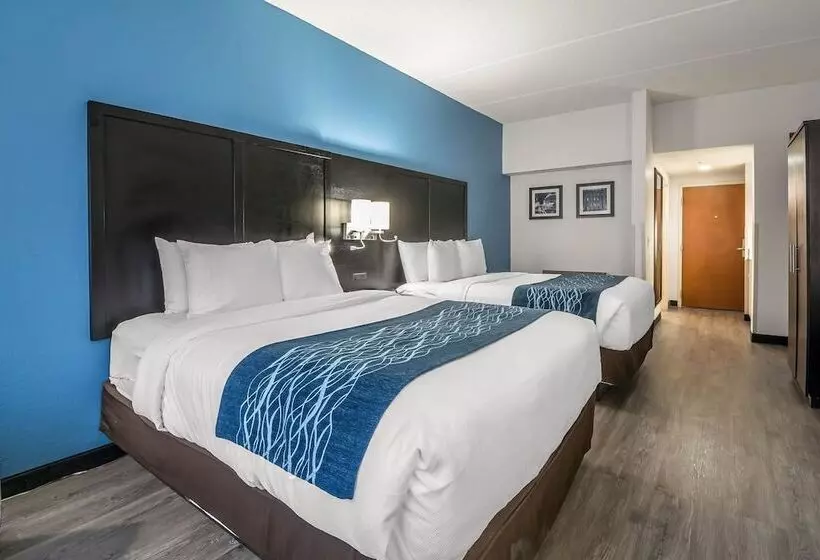 호텔 Comfort Inn University