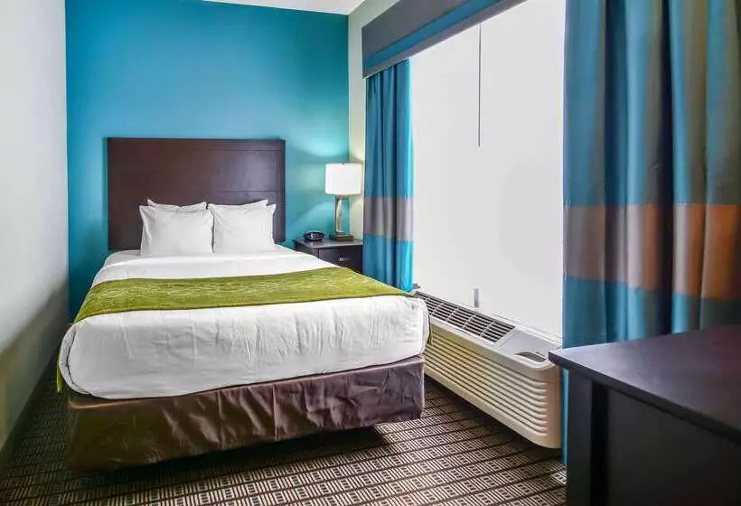 酒店 Comfort Suites Tampa  Brandon