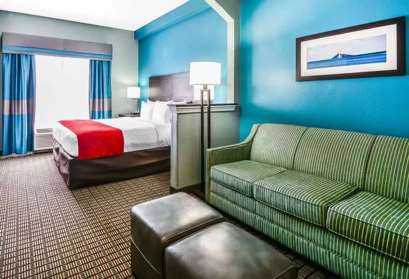 酒店 Comfort Suites Tampa  Brandon