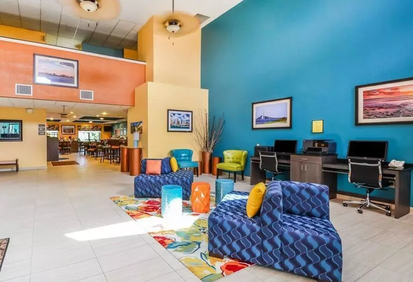 酒店 Comfort Suites Tampa  Brandon