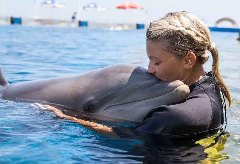 Отель Holiday Inn Express St Augustine Dtwn Historic, An Ihg