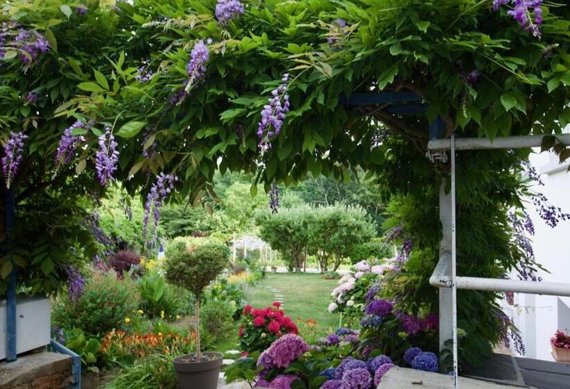 ホテル Hôtel Du Port Et De L Aven