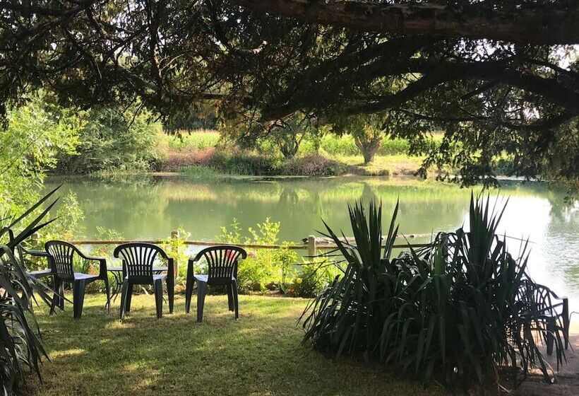 Hotel L Auberge Du Port Des Roches