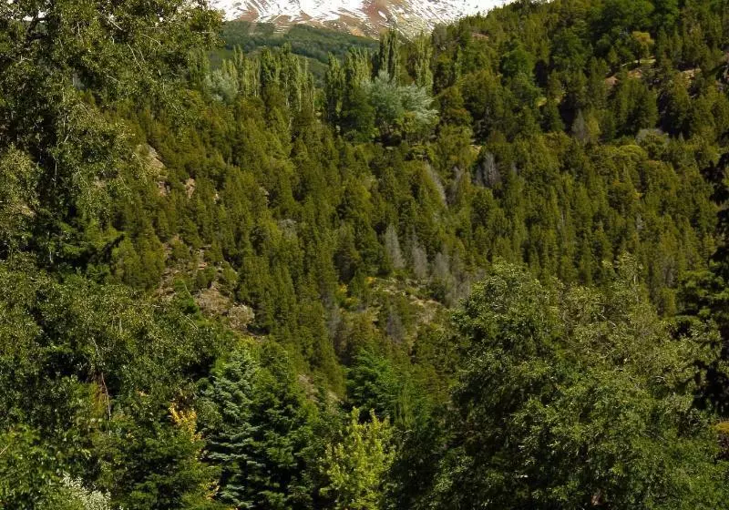 هتل Las Cumbres Apart & Suites