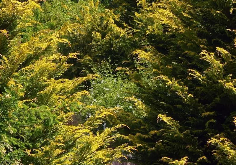 هتل Las Cumbres Apart & Suites