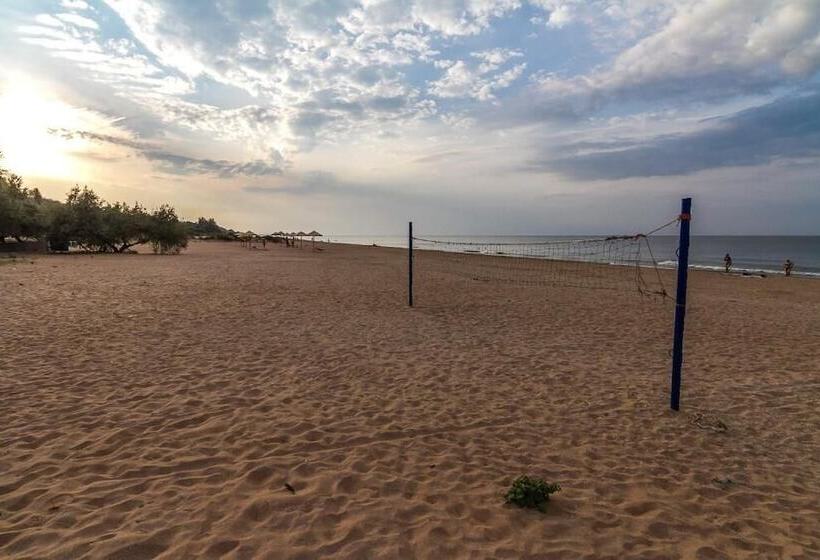 여관 Park Hotel Shinkar